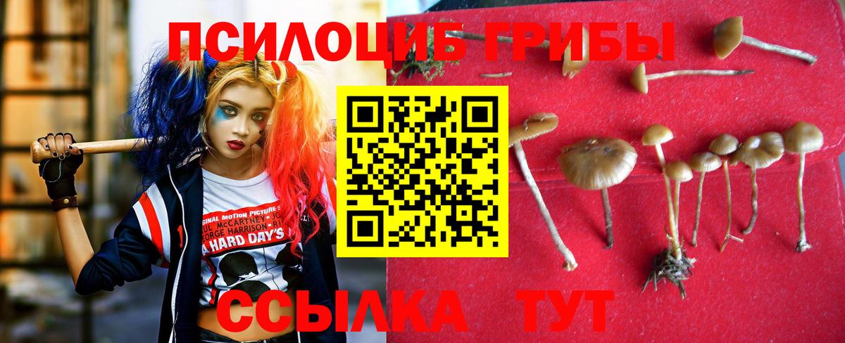 Псилоцибиновые грибы MAGIC MUSHROOMS  Вход с VPN  Псилоцибиновые грибы Cubensis  Жуковский 